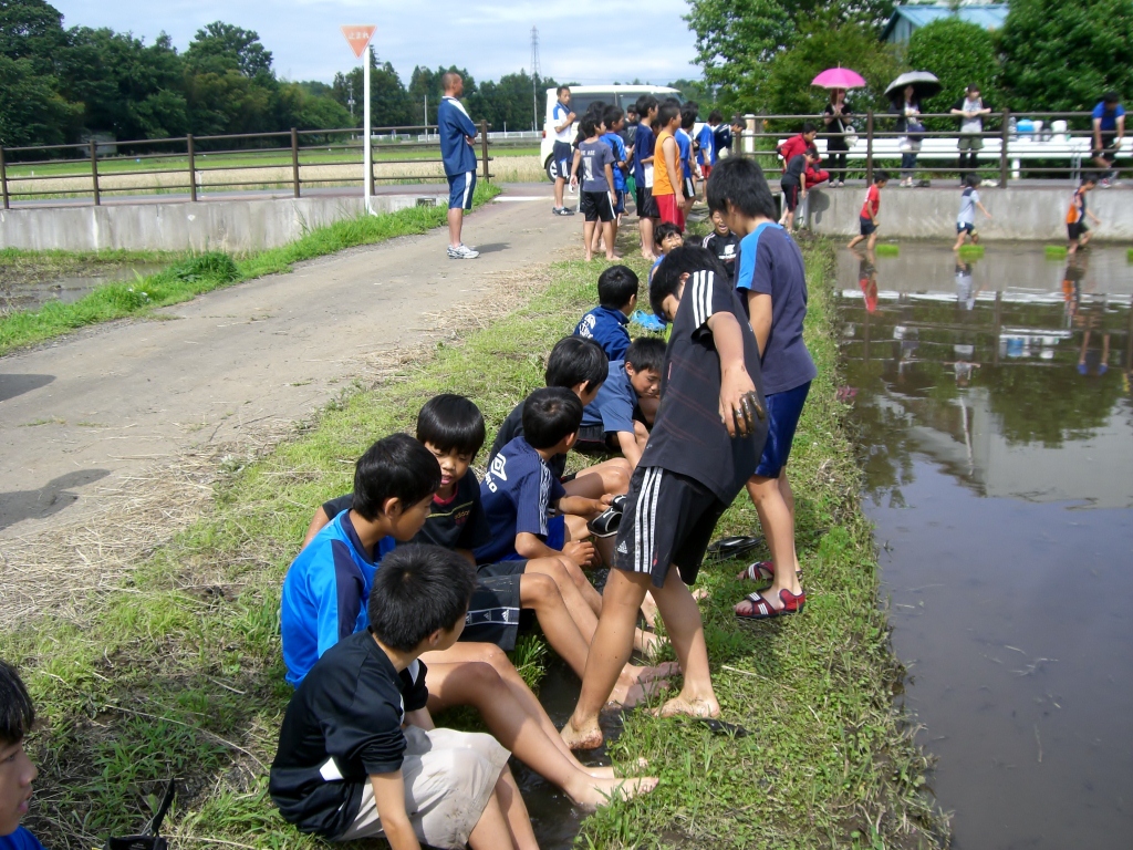 田植え 12梅雨の晴れ間 その 江南南サッカー少年団